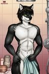  anthro canine censored facial_hair goatee half-closed_eyes hotbento inside looking_at_viewer male mammal navel shower smile solo towel wet 