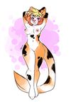  abstract_background breasts calico_cat cat erect_nipples feline female hair hiddenwolf long_tail mammal nipples short_hair solo 