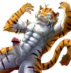  abs anthro balls biceps black_body black_claws black_fur black_stripes blue_eyes censor_bar censored claws erection eyebrows felid fur genitals glans humanoid_genitalia humanoid_penis ineffective_censorship looking_at_viewer male mammal multicolored_body multicolored_fur muscular muscular_anthro muscular_male nipples nude open_mouth orange_body orange_fur pantherine pecs penis pink_nipples pink_nose pink_tongue raised_arm simple_background solo striped_body striped_fur stripes teeth tiger tongue toraya_inugami tuft vein whiskers white_background white_body white_eyebrows white_fur 