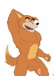  abs balls canine disney don_karnage dripping erection flat_colors front_view humanoid_penis male mammal muscular nipples nude open_mouth pecs penis pinup pose precum raised_arm retracted_foreskin saliva-string seyrmo sharp_teeth signature talespin teeth uncut wolf 
