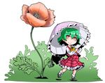  1girl ascot flower green_hair highres kazami_yuuka minigirl parasol plaid plaid_skirt plaid_vest red_eyes shinapuu shirt short_hair skirt skirt_set solo touhou umbrella vest 