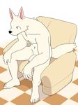  anthro armchair canine censored chair dog high-angle_view leaning leaning_forward male mammal manmosu_marimo nude partially_retracted_foreskin penis plantigrade sitting solo spread_legs spreading uncut white_canine_(marimo) 