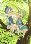  blue_dress blue_eyes blue_footwear blue_hair bow cirno clenched_hands daiyousei dress green_eyes green_hair hair_bow hair_ribbon ice ice_wings in_tree irigoma_(jikabi_baisen) leaf multiple_girls open_mouth pointy_ears puffy_short_sleeves puffy_sleeves ribbon shoes short_hair short_sleeves side_ponytail sitting sitting_in_tree smile socks touhou tree wings 