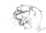  2010 angry bear black_and_white black_eyes english_text fangs fur male mammal monochrome open_mouth saliva simple_background sketch solo teeth text tongue traditional_media_(artwork) watermark white_background white_sclera wolfy-nail 