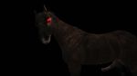  black_background dark dripping equine feral horse male mammal penis phyrr simple_background skyrim solo the_elder_scrolls video_games 