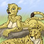  ambiguous_gender anthro breasts butt casual_nudity cheetah cheetah_(character) claws dc_comics duo featureless_breasts feline female feral frown green_eyes heresy_(artist) lips mammal nude open_mouth orange_eyes 