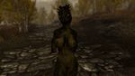  argonian breasts female lizard looking_at_viewer phyrr reptile scales scalie skyrim solo the_elder_scrolls video_games 