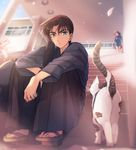  1girl :o akiyoshi_(tama-pete) animal bag black_hair blue_eyes blurry brown_hair building cat cherry_blossoms dark_skin day depth_of_field geta hakama hattori_heiji japanese_clothes kendo long_hair long_sleeves looking_at_another looking_at_viewer looking_to_the_side meitantei_conan petals ponytail school_uniform serafuku shade sitting sitting_on_stairs skirt skirt_lift sky solo_focus stairs tooyama_kazuha tree waiting walking weapon_bag wind wind_lift 