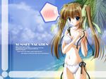  beach bikini blush brown_hair copyright_request day long_hair nanao_naru solo spoken_blush spoken_sweatdrop sweatdrop swimsuit twintails wallpaper 