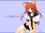  animal_ears blue_eyes cat_ears fish highres mitsumi_misato no_pants one-piece_swimsuit open_clothes open_shirt orange_hair original school_swimsuit school_uniform shirt solo swimsuit swimsuit_under_clothes wallpaper 