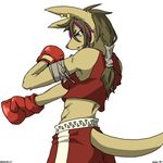  artist_request blue_eyes boxing boxing_gloves brown_hair furry kangaroo long_hair 