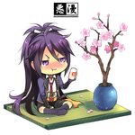  :t amazake_(drink) black_legwear branch cherry_blossoms chibi fudou_yukimitsu indian_style kneehighs kurarin male_focus necktie petals plant ponytail potted_plant purple_eyes purple_hair shorts sitting solo touken_ranbu translation_request 