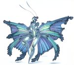  2016 ambiguous_gender antennae arthropod blue_body blue_morpho butterfly compound_eyes drachenmagier insect membranous_wings simple_background turquoise_body white_background wings 