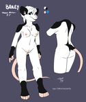  2016 bailey black_and_white_fur blue_eyes breasts clitoral_hood female hair mammal marsupial model_sheet nude opossum os pussy solo white_hair 
