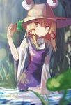  blonde_hair frog hat leaf long_sleeves moriya_suwako nakaichi_(ridil) purple_skirt skirt skirt_set solo touhou wide_sleeves yellow_eyes 