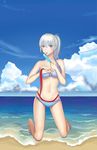  absurdres beach bird blue_eyes breasts cleavage cloud day dripping food groin highres kneeling large_breasts looking_at_viewer navel outdoors ponytail popsicle rwby scar scar_across_eye solo swimsuit tongue tongue_out water weiss_schnee white_hair zhao_shixuan 