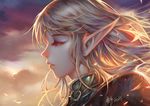  2016 armor blonde_hair cloud deedlit elf eyelashes face from_side long_hair pointy_ears portrait profile record_of_lodoss_war sky solo wind wuduo 