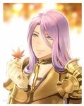  armor border commentary gloves gold_armor green_eyes hachisuka_kotetsu holding holding_leaf leaf long_hair looking_at_viewer male_focus maple_leaf mizuhara_aki purple_hair smile solo touken_ranbu upper_body white_border yellow_gloves 