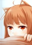  absurdres ahoge animal_ears ayakura_juu bangs brown_hair close-up eyelashes face fingernails highres holo long_hair red_eyes solo spice_and_wolf tail wolf_ears 