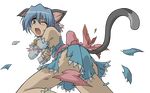  animal_ears ayasaki_hayate blue_hair catgirl hayate_no_gotoku transparent 