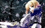  fate/stay_night saber snow sword tagme 