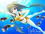  :d animal barefoot bikini brown_hair fish freediving gagraphic naruse_hirofumi navel open_mouth original red_eyes smile solo striped striped_bikini striped_swimsuit swimsuit twintails underwater wallpaper 