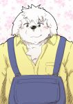  2016 anthro blush canine clothing dog fur kota&acute; male mammal overalls overweight overweight_male shirt solo white_fur 