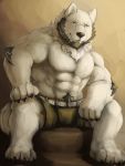  5_fingers abs anthro beard belt biceps black_nose canid canine canis cinna-tree claws clothing domestic_dog facial_hair fur green_eyes grey_hair hair male mammal muscular muscular_male pecs pose shorts simple_background sitting solo toe_claws white_fur 