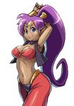  armpits blue_eyes breasts cleavage dark_skin earrings jewelry long_hair looking_at_viewer navel pointy_ears purple_hair shantae shantae_(character) smile solo very_long_hair wayforward 