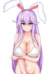  animal_ears bottomless bra breasts bunny_ears groin highres large_breasts lavender_hair long_hair navel out-of-frame_censoring reisen_udongein_inaba simple_background solo sprout_(33510539) touhou underwear white_background 