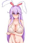  animal_ears bottomless bra breasts bunny_ears embarrassed groin highres large_breasts lavender_hair long_hair navel out-of-frame_censoring reisen_udongein_inaba see-through simple_background solo sprout_(33510539) touhou underwear white_background 
