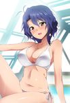  :d antenna_hair bare_arms bare_shoulders bikini blue_hair breasts brown_eyes cleavage collarbone earrings eyebrows eyebrows_visible_through_hair hair_between_eyes head_tilt heart heart_necklace highres idolmaster idolmaster_million_live! indoors jewelry kaiga knee_up large_breasts midriff navel open_mouth pendant pool rei_no_pool shell_earrings shiny shiny_skin short_hair side-tie_bikini sitting smile solo stomach strap_gap swimsuit tareme toyokawa_fuuka white_bikini 