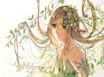  brown_hair green_eyes leaf leaf_on_head long_hair looking_at_viewer omutatsu original solo 