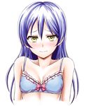  absurdres blue_bra blue_hair blush bra breasts cleavage embarrassed highres kyuusenbinore_(gavion) long_hair looking_at_viewer love_live! love_live!_school_idol_project ribbon small_breasts solo sonoda_umi underwear yellow_eyes 