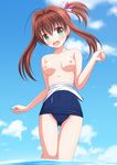  ass_visible_through_thighs blush breasts brown_hair eyebrows_visible_through_hair green_eyes hair_intakes jewelpet_(series) jewelpet_twinkle ki_(kk-sk-ray) long_hair nipples one-piece_swimsuit one_side_up open_mouth sakura_akari school_swimsuit side_ponytail small_breasts solo swimsuit swimsuit_pull topless water 