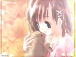  artist_request bangs brown_hair canvas_(cocktail_soft) green_eyes solo tachibana_amane 