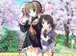  120_yen_stories cherry_blossoms hakone nekoneko_soft tagme 