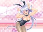  :d animal_ears arms_up bangs blue_eyes bow bowtie breasts bunny_ears bunny_pose bunny_tail bunnysuit cleavage cowboy_shot detached_collar fang heterochromia large_breasts lavolpe_(yagisaka_seto) leaning_forward long_hair looking_at_viewer open_mouth original outline pantyhose pink_background purple_eyes sheer_legwear silver_hair smile solo tail thigh_gap very_long_hair wrist_cuffs yagisaka_seto zoom_layer 