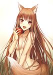  animal_ears apple bangs blush breasts brown_hair eyebrows_visible_through_hair food fruit hair_over_breasts highres holding holding_food holding_fruit holo large_breasts long_hair looking_at_viewer luzi nude open_mouth red_eyes smile solo spice_and_wolf tail very_long_hair wheat wheat_field wolf_ears wolf_tail 