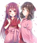  :o anchor blush bow brown_eyes brown_hair drill_hair fang hair_bow hakama harukaze_(kantai_collection) japanese_clothes kamikaze_(kantai_collection) kantai_collection kimono long_hair long_sleeves looking_at_viewer meiji_schoolgirl_uniform multiple_girls murasakigo open_mouth petals pink_hakama pink_kimono purple_eyes purple_hair red_bow red_eyes red_hakama short_sleeves smile tasuki twin_drills very_long_hair wide_sleeves 