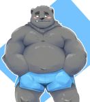  2019 anthro belly black_fur black_nose blush clothing cute_fangs fur hugo_(jumperbear) jumperbear male mammal moobs navel overweight overweight_male simple_background solo underwear ursid 