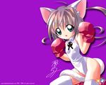  animal_ears boxing_gloves cat cat_ears copyright_request gloves kazakami_shun solo thighhighs wallpaper 