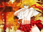  ikkitousen sonsaku_hakufu tagme 