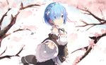  re:zero_kara_hajimeru_isekai_seikatsu rem_(re:zero) tagme zzzzxxx2010nian 