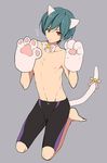  cat_paws cat_tail high_speed! kirishima_ikuya male_focus swim_trunks 