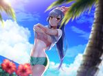  :o armpit_peek beanie blue_sky blurry blush breasts cloud cosplay cowboy_shot crossed_arms day depth_of_field flower green_shorts hat hibiscus hizuki_akira horizon long_hair looking_at_viewer medium_breasts midriff mizuki_(pokemon) mizuki_(pokemon)_(cosplay) natsume_(pokemon) navel outdoors palm_tree parted_lips plant pokemon pokemon_(game) pokemon_rgby pokemon_sm purple_hair red_eyes red_hat shiny shiny_skin shirt_lift shorts sky solo stomach tan tanline tree tsurime underboob undressing water 