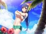  armpit_peek beach black_hair breasts cloud cosplay day flower groin hat hizuki_akira lens_flare long_hair looking_at_viewer medium_breasts mizuki_(pokemon) mizuki_(pokemon)_(cosplay) natsume_(pokemon) navel outdoors palm_tree pokemon pokemon_(game) pokemon_rgby pokemon_sm red_eyes shirt shorts sky solo tree underboob undressing white_shirt 