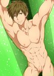  free! male_focus muscle nude penis tachibana_makoto topless uncensored 