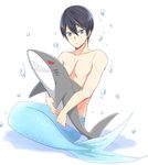  black_hair blue_eyes free! future_fish male_focus merman nanase_haruka_(free!) overrunner topless 