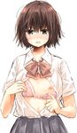  blush bra breasts brown_hair highres looking_at_viewer matsuda_hikari nipples original school_uniform short_hair small_breasts solo underwear undressing 